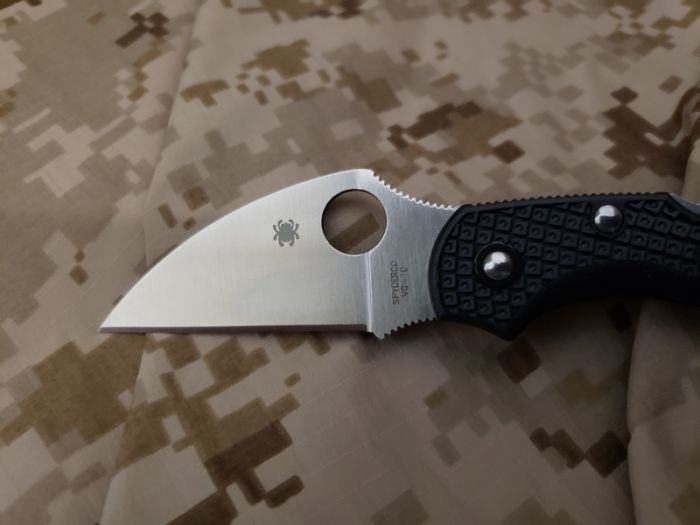 Складной нож Dragonfly 2 Wharncliffe Spyderco C28FPWCBK2, сталь VG-10 Satin Plain, термопластик FRN, чёрный